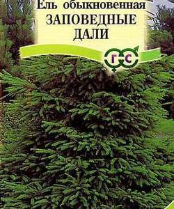 Ель обыкновенная Заповедные дали 0,5 г