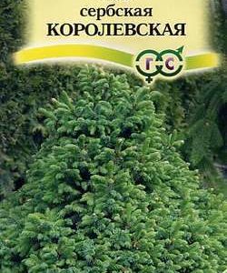 Ель сербская Королевская* 0,1 г