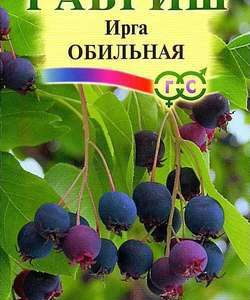 Ирга круглолистная Обильная 0,5 г