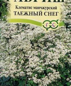 Клематис манчжурский Таежный снег* 0,05 г