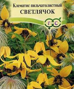 Клематис пильчатолистный Светлячок 0,05 г
