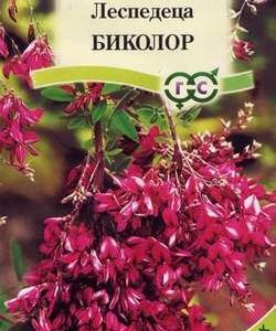 Леспедеца двуцветная Биколор* 5 шт.