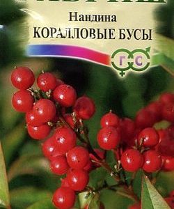 Нандина домашняя Коралловые бусы 0,3 г