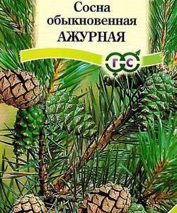 Сосна обыкновенная Ажурная* 0,2 г