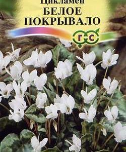 Цикламен Белое покрывало* многолетний ,3 шт. сер. Альпийская горка