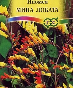 Ипомея Мина Лобата 0,5 г