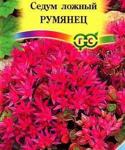 Седум Румянец ложный * 0,01 г сер. Альпийская горка