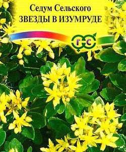 Седум Звезды в изумруде сельскианум * 0,03 г сер. Альпийская горка