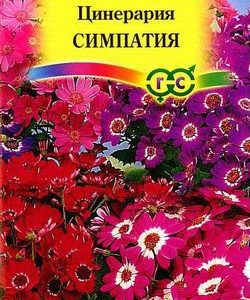 Цинерария цветущая гибридная Симпатия* 10 шт.