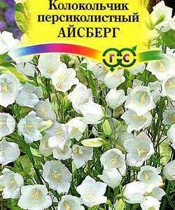 Колокольчик Айсберг , персиколистный* 0,1 г