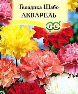 Гвоздика Шабо Акварель*, смесь 0,1 г