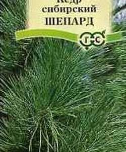 Кедр сибирский Шепард 3 шт.