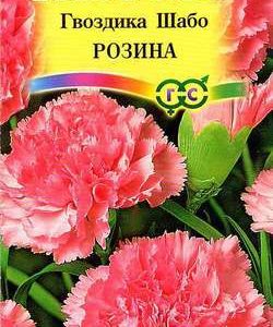 Гвоздика Шабо Розина* 0,1 г