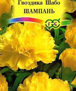Гвоздика Шабо Шампань* 0,1 г
