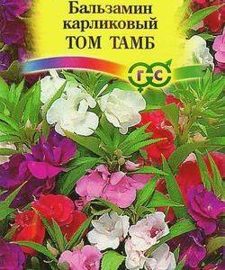 Бальзамин Том Тамб карлик. 0,2г