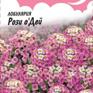 Лобулярия Рози о Дей* 0,1 г серия Розовые сны