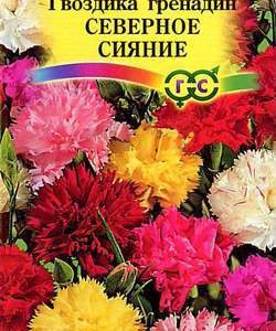 Гвоздика садовая гренадин Северное сияние*, смесь 0,1 г