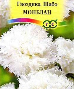 Гвоздика Шабо Монблан* 0,1 г