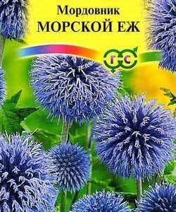 Мордовник Морской еж 0,3 г