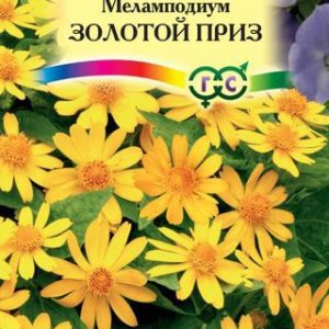 Меламподиум Золотой приз* 0,1 г