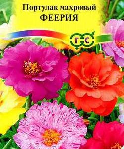 Портулак Феерия махровый * 0,01 г серия Альпийская горка