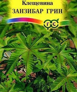 Клещевина Занзибар Грин 5 шт.
