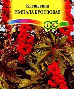 Клещевина Импала бронзовая 5 шт.