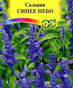Сальвия Синее небо мучнистая* 0,05 г