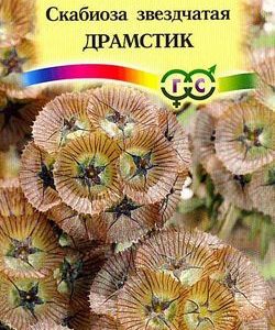 Скабиоза звездчатая Драмстик 0,5 г