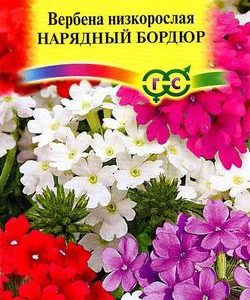 Вербена Нарядный бордюр* 0,1 г