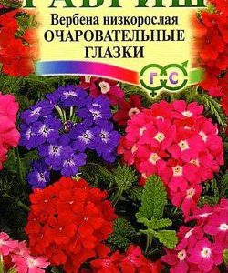 Вербена Очаровательные глазки* 0,1 г