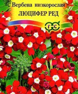 Вербена Люцифер Ред* 0,1 г