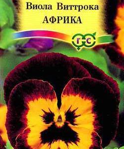 Виола Африка ,Виттрока (Анютины глазки)* 0,1 г