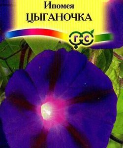 Ипомея Цыганочка 0,5 г