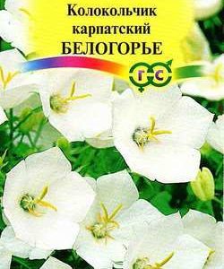 Колокольчик Белогорье , карпатский* 0,1 г сер. Альпийская горка