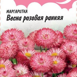 Маргаритка Весна розовая ранняя* 0,05 г серия Розовые сны