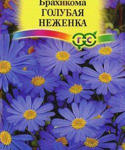 Брахикома Голубая неженка* 0,05 г