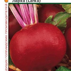 Свекла Ларка 1,0 г (Голландия)