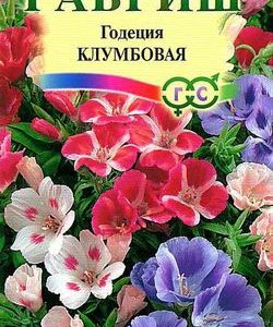 Годеция Клумбовая, смесь* 0,1 г