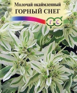 Молочай окаймленный Горный снег 0,5 г