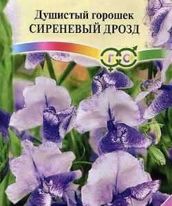 Душистый горошек Сиреневый дрозд 0,5 г серия Сад ароматов