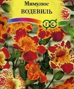 Мимулюс Водевиль*, смесь 0,01 г