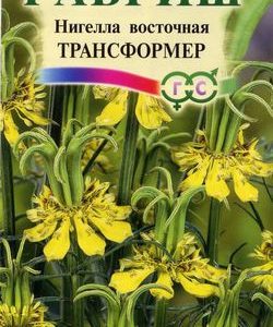 Нигелла Трансформер восточная 0,3 г Н9