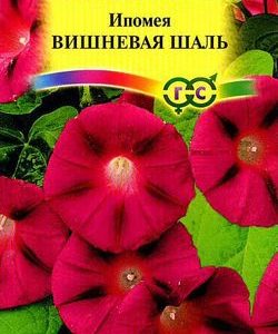 Ипомея Вишневая шаль 0,5 г