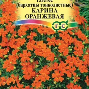 Бархатцы тонколист. Карина оранжевая (Тагетес) 0,05 г
