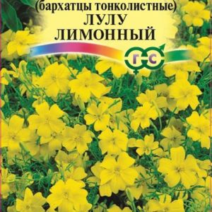 Бархатцы тонколист. Лулу лимонный (Тагетес) 0,05 г