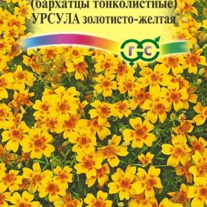 Бархатцы тонколист. Урсула золотисто-желтая (Тагетес) 0,05 г