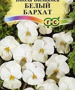 Виола Белый бархат F1, Вильямса (Анютины глазки)* 5 шт. сер. Элитная клумба