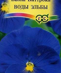 Виола Воды Эльбы ,Виттрока (Анютины глазки)* 0,1 г