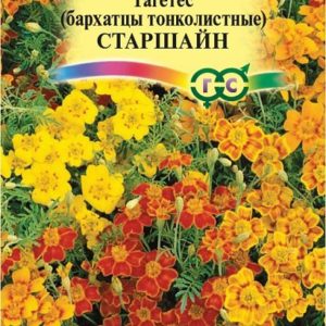 Бархатцы тонколист. Старшайн, смесь (Тагетес) 0,05 г
